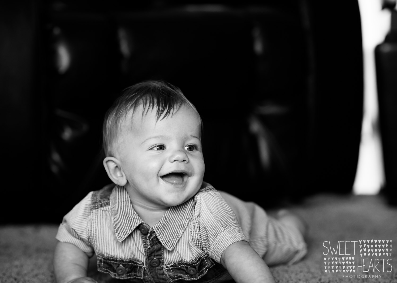 6 month old baby photography minnesota