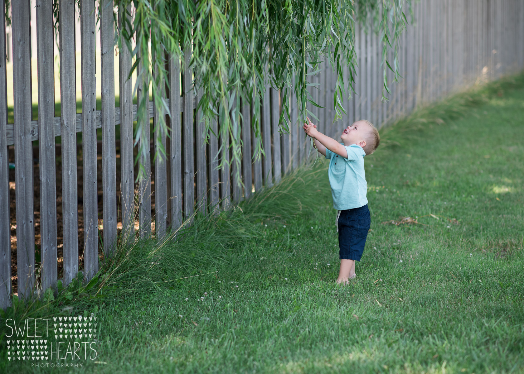 6 month old baby photography Minnesota