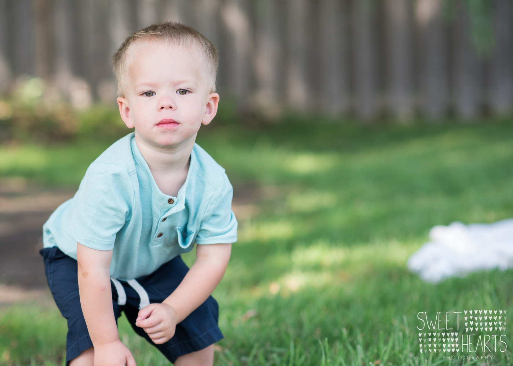 6 month old baby photography minnesota