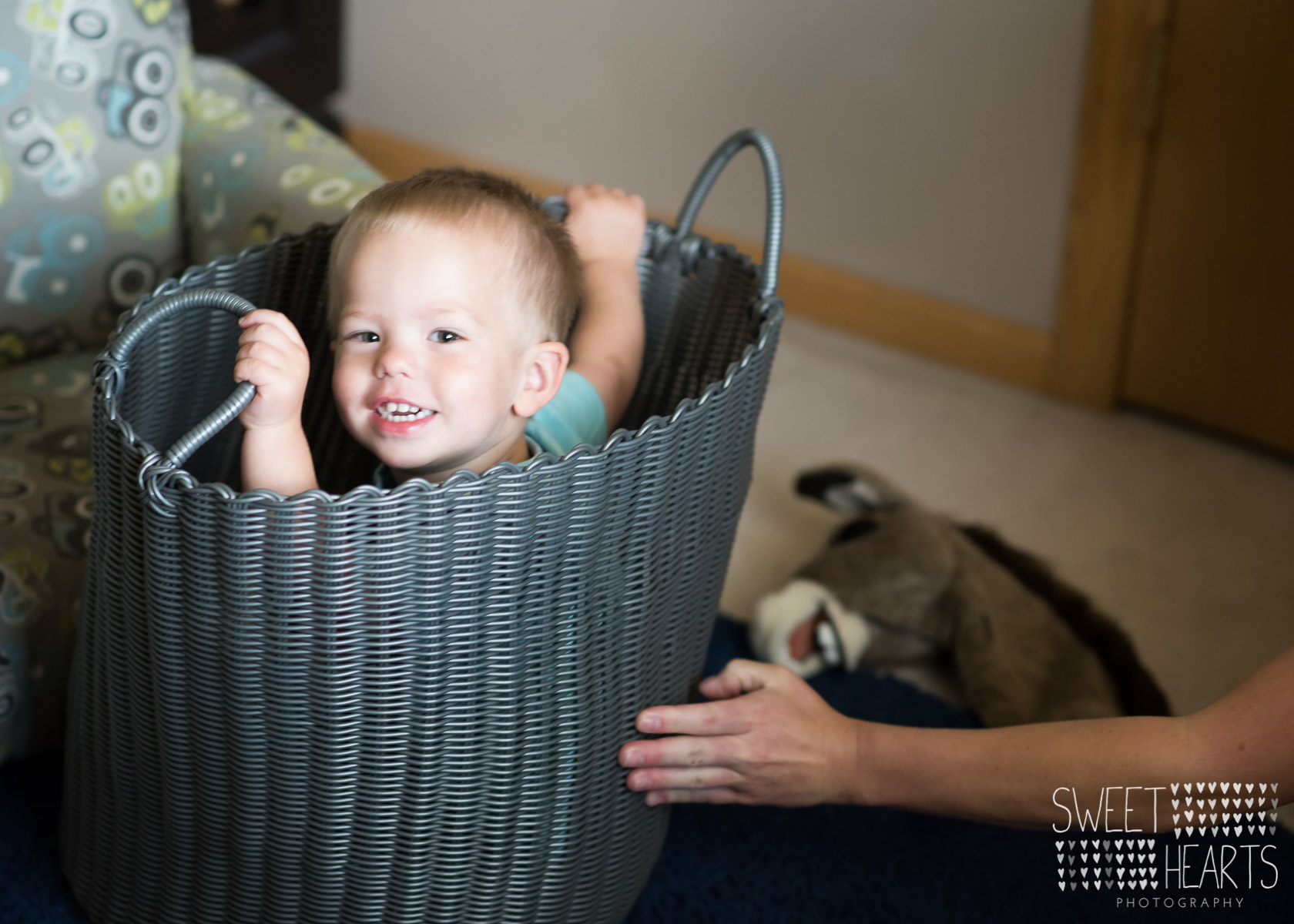 6 month old baby photography minnesota