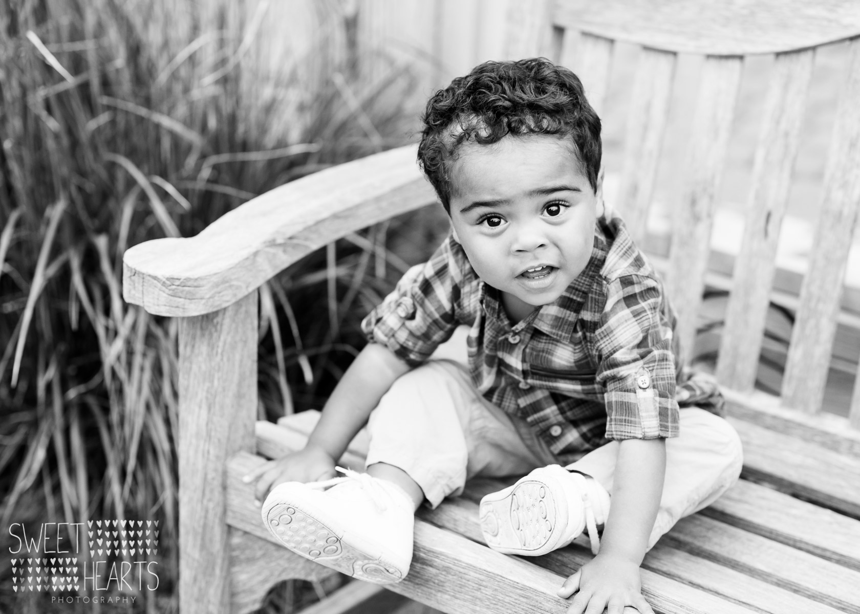 exploring centennial lakes park family session