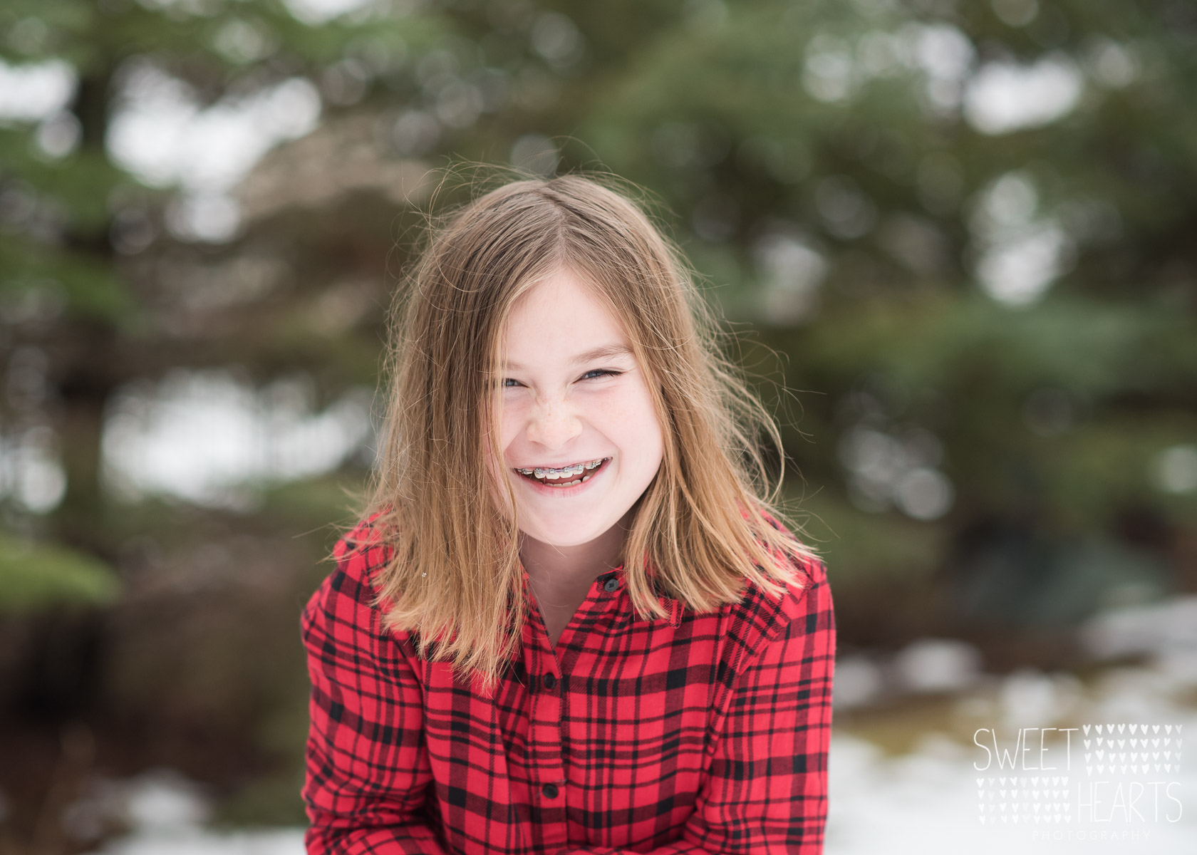 holiday mini sessions minneapolis