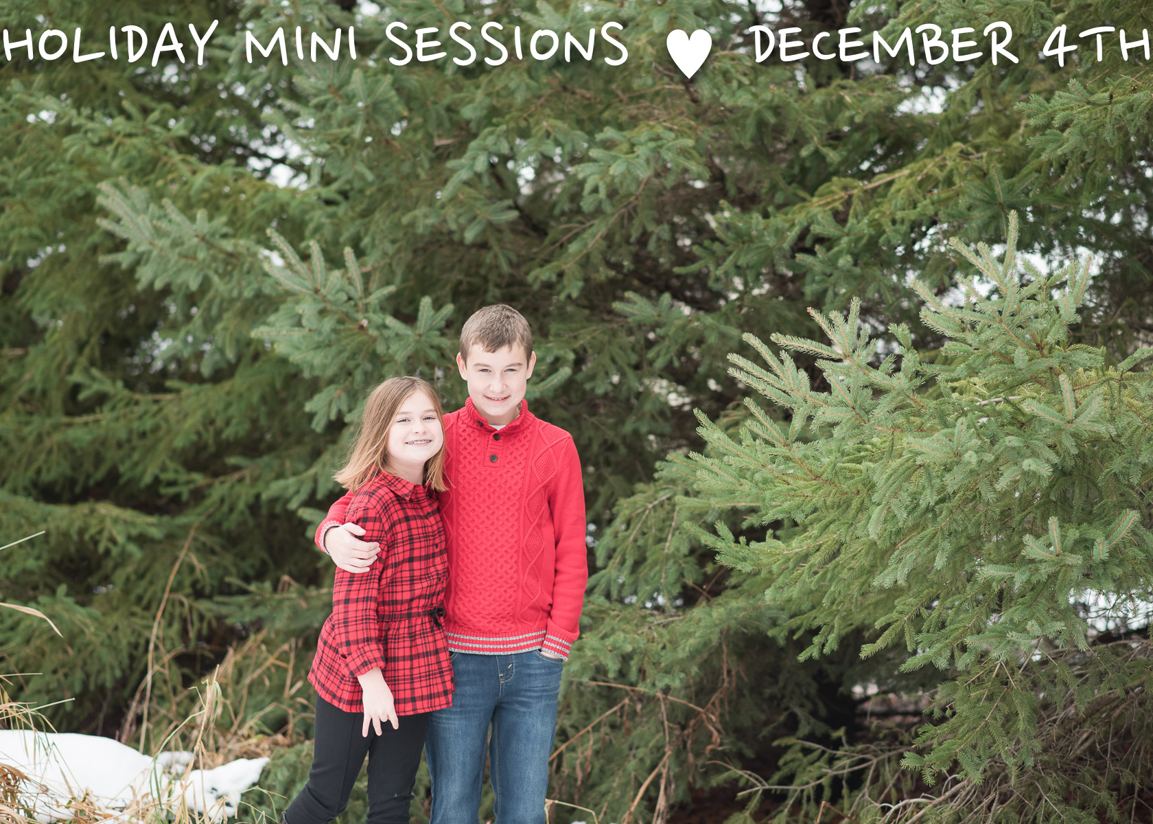 holiday mini sessions minneapolis