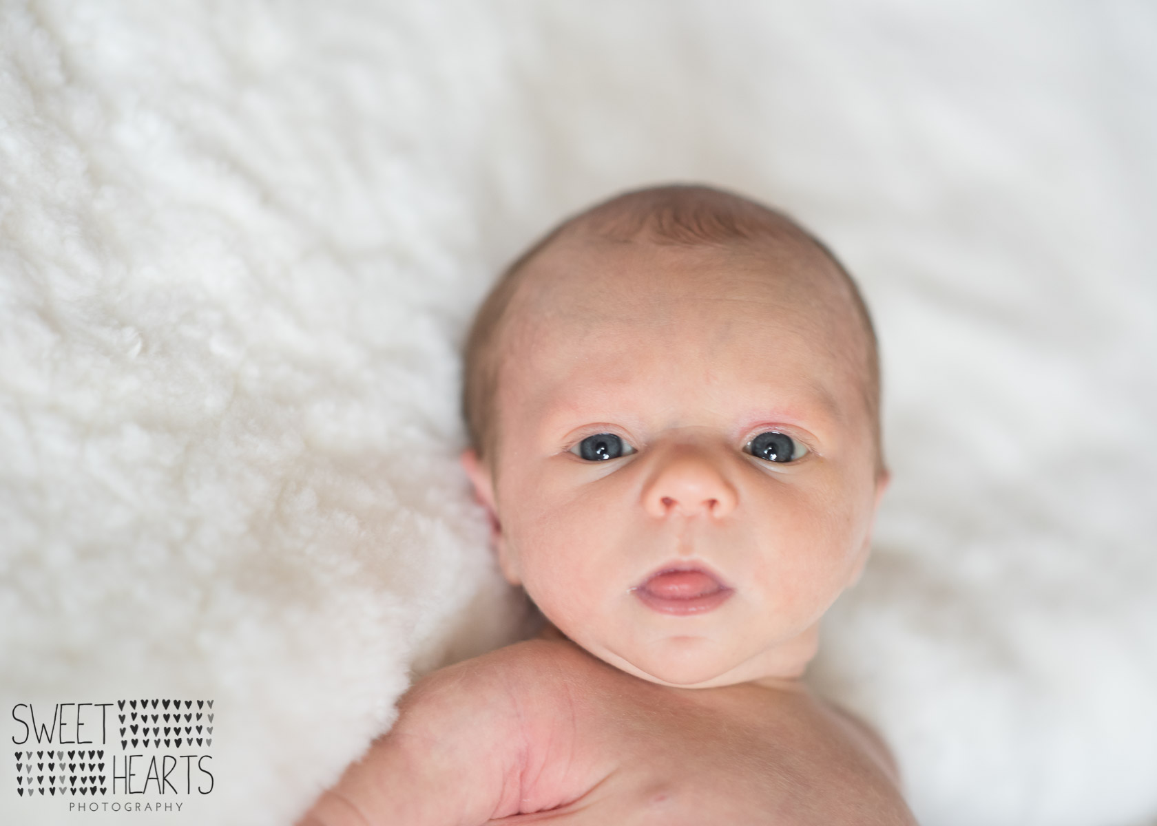 Baby Scarlett Newborn Photographer